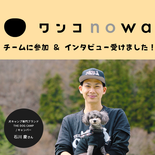 【ワンコnowa】チームに参加 & インタビュー受けました!