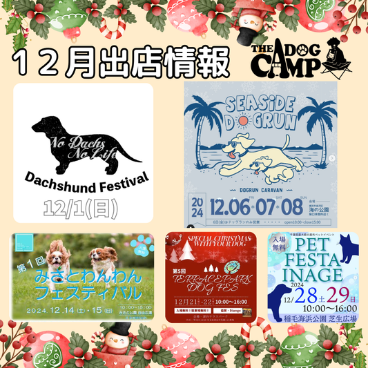 2024年12月ドッグマルシェ出店情報 THEDOGCAMP