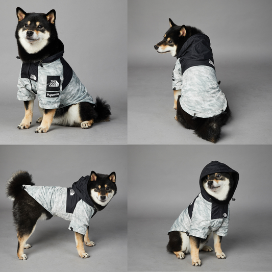 THE DOG CAMP selects アウトドアレインウェア(グレー)