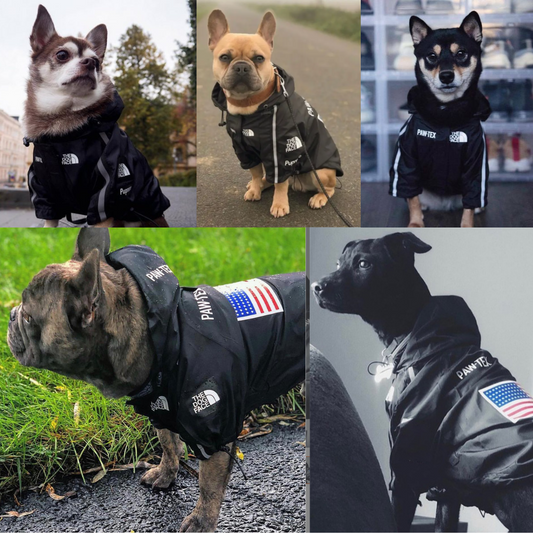 THE DOG CAMP selects アウトドアレインウェア(ブラック)