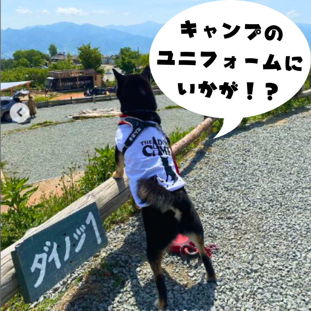 犬用 オリジナル ウェア制作(Tシャツver)