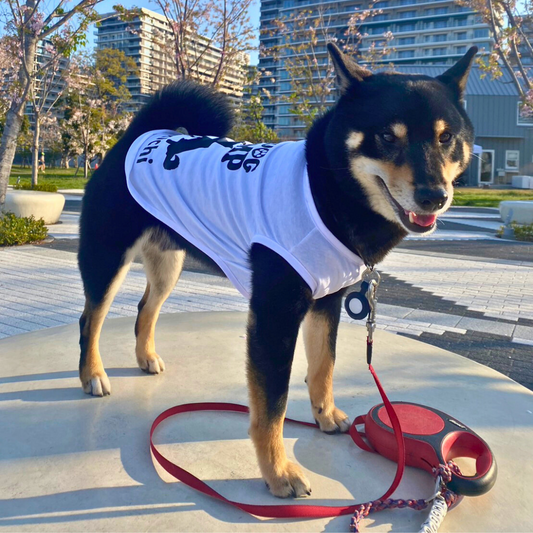 犬用 オリジナル ウェア制作(Tシャツver)