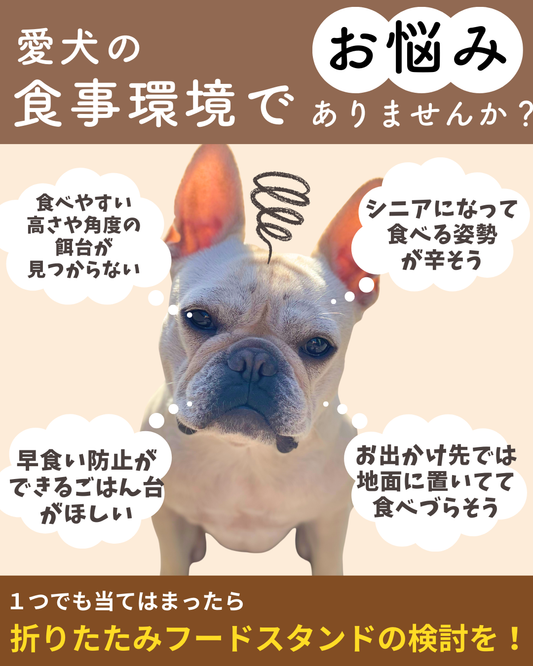 折りたたみフードスタンド(シングルver)予約セール中(11月末お届け予定)