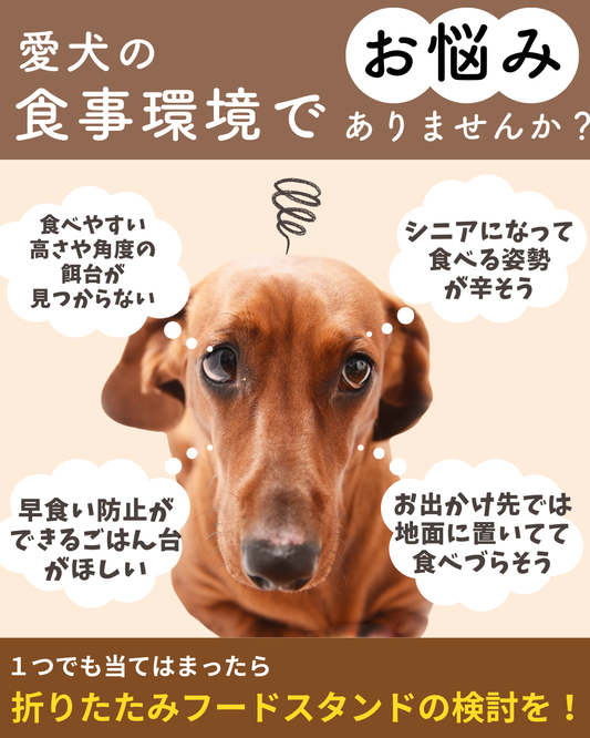 折りたたみフードスタンド(ミニサイズ) 予約セール中(2026年1月末お届け予定)