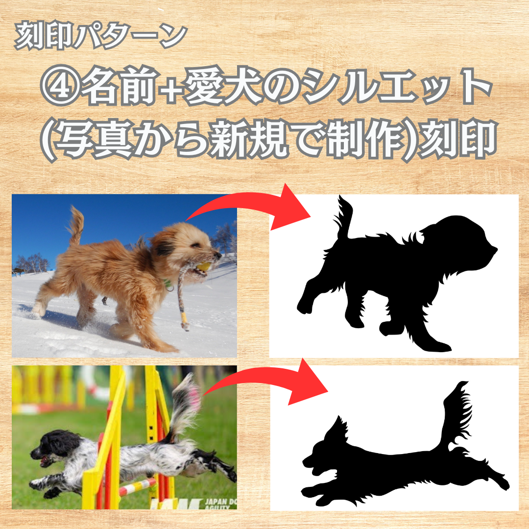 折りたたみフードスタンド(ミニサイズ) 予約セール中(2026年1月末お届け予定)