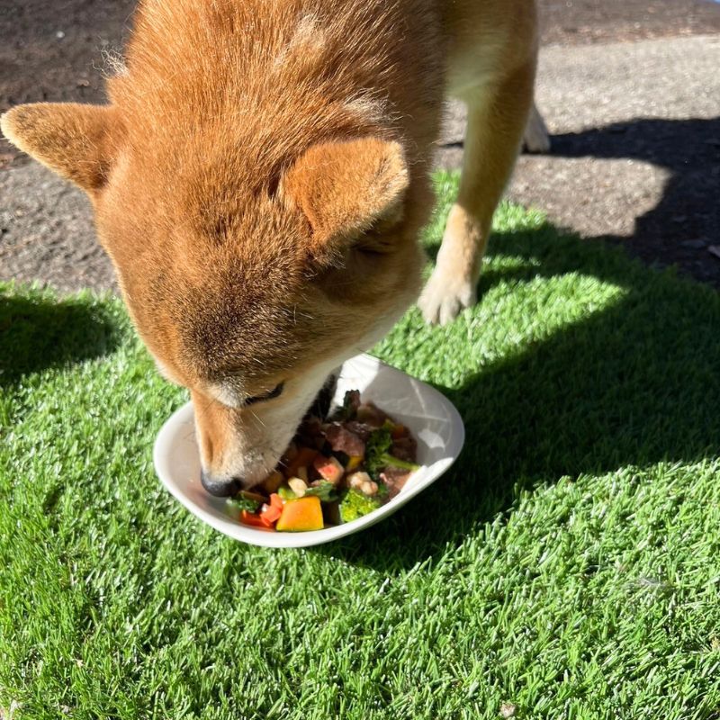 鹿肉ウェットフード【100g】