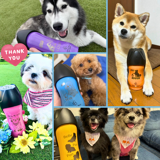 オリジナル【ステンレス給水ボトル】制作