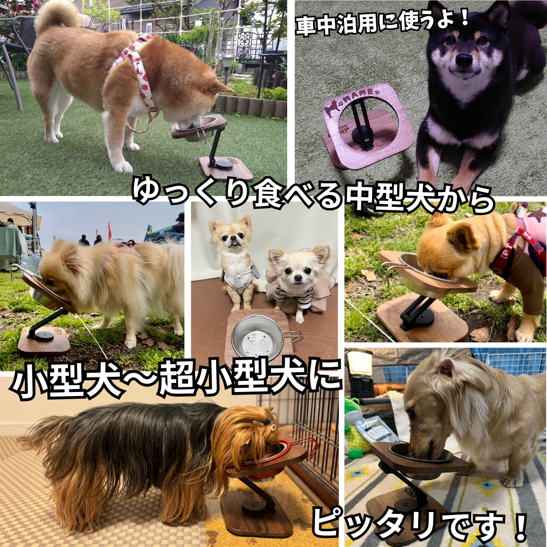 折りたたみフードスタンド(ミニサイズ) 予約セール中(2026年1月末お届け予定)