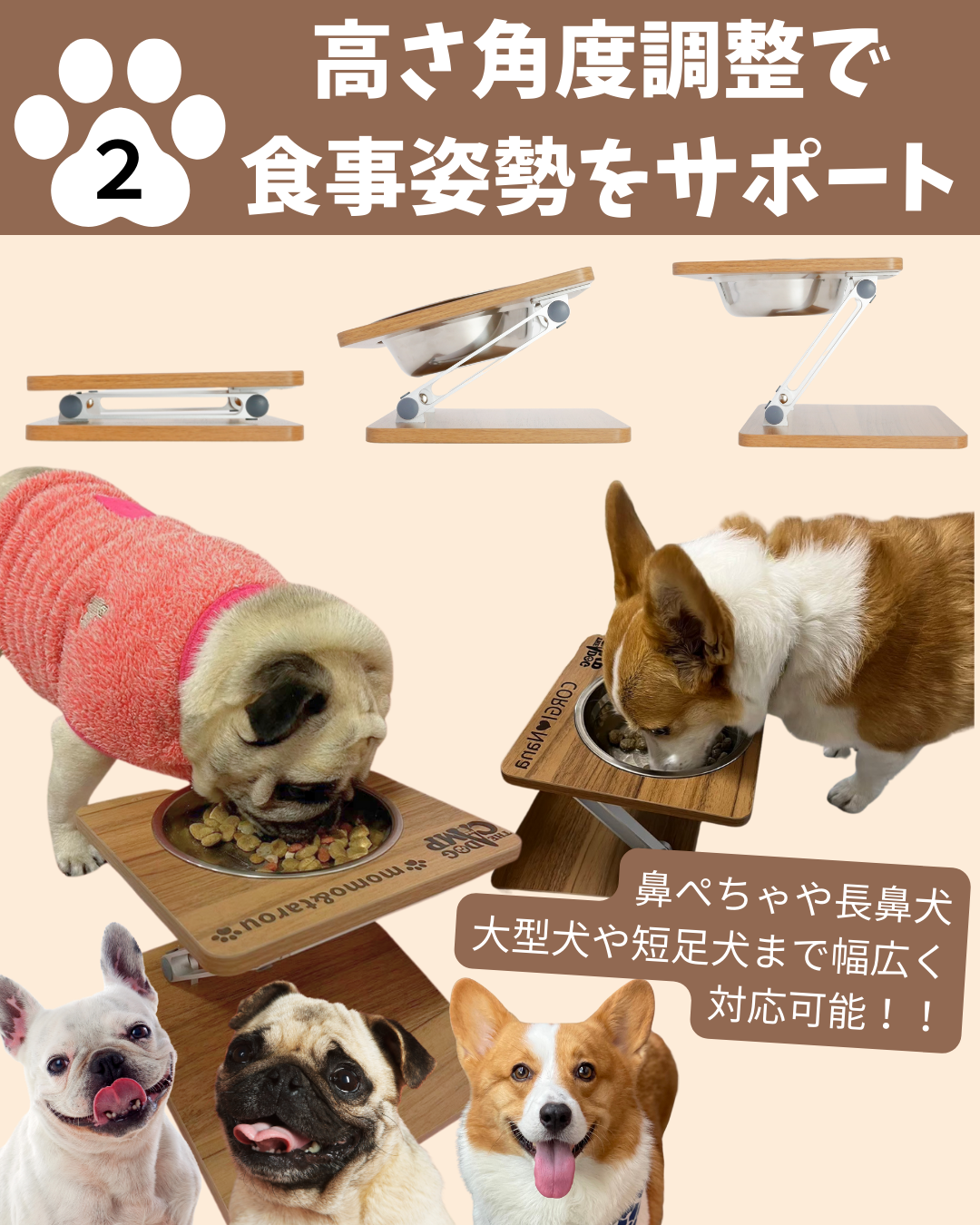折りたたみフードスタンド(シングルver)予約セール中(11月末お届け予定)