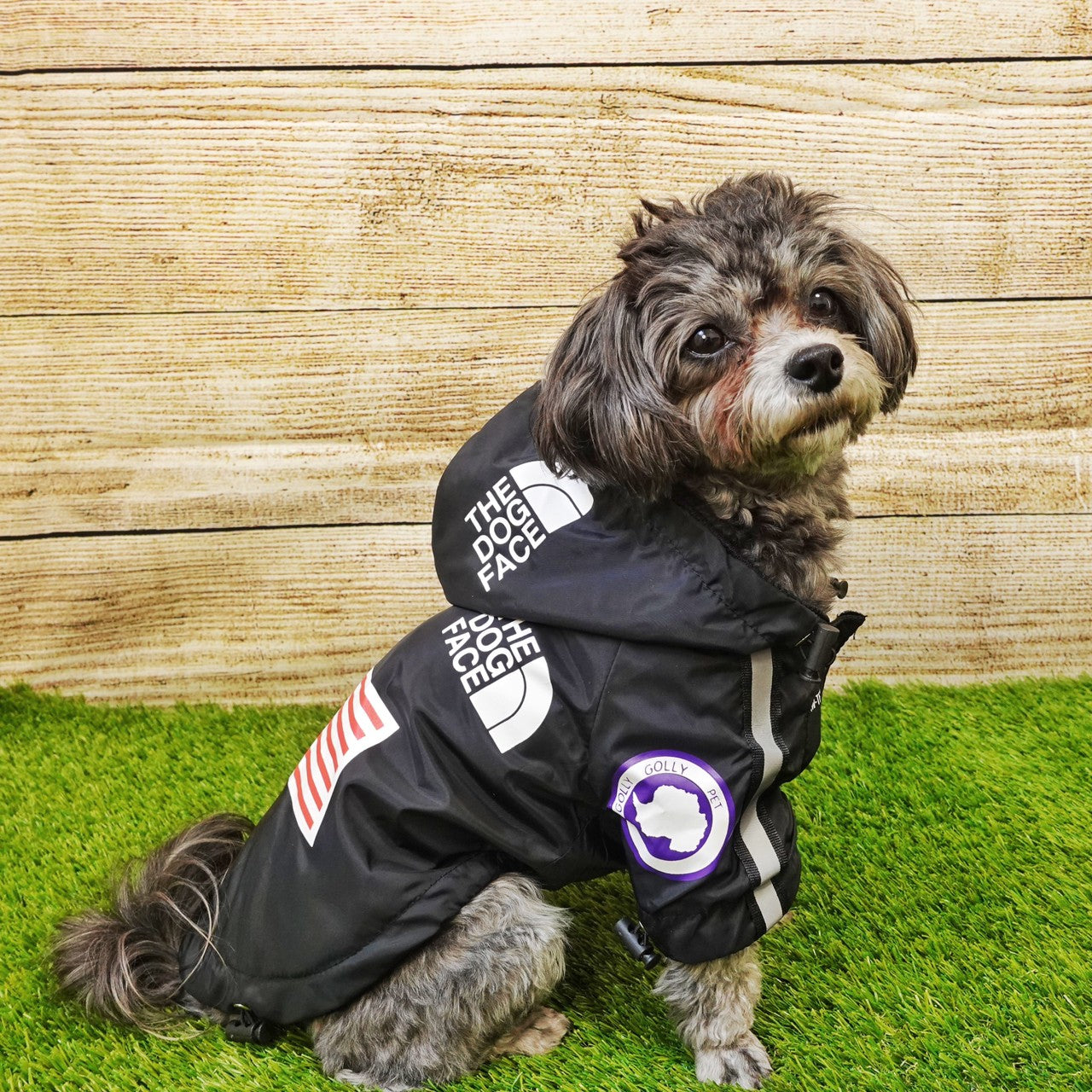 THE DOG CAMP selects アウトドアレインウェア(ブラック)