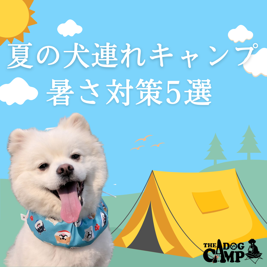 夏の犬連れキャンプ 暑さ対策5選