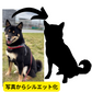 犬用 オリジナル ウェア制作（Tシャツver)