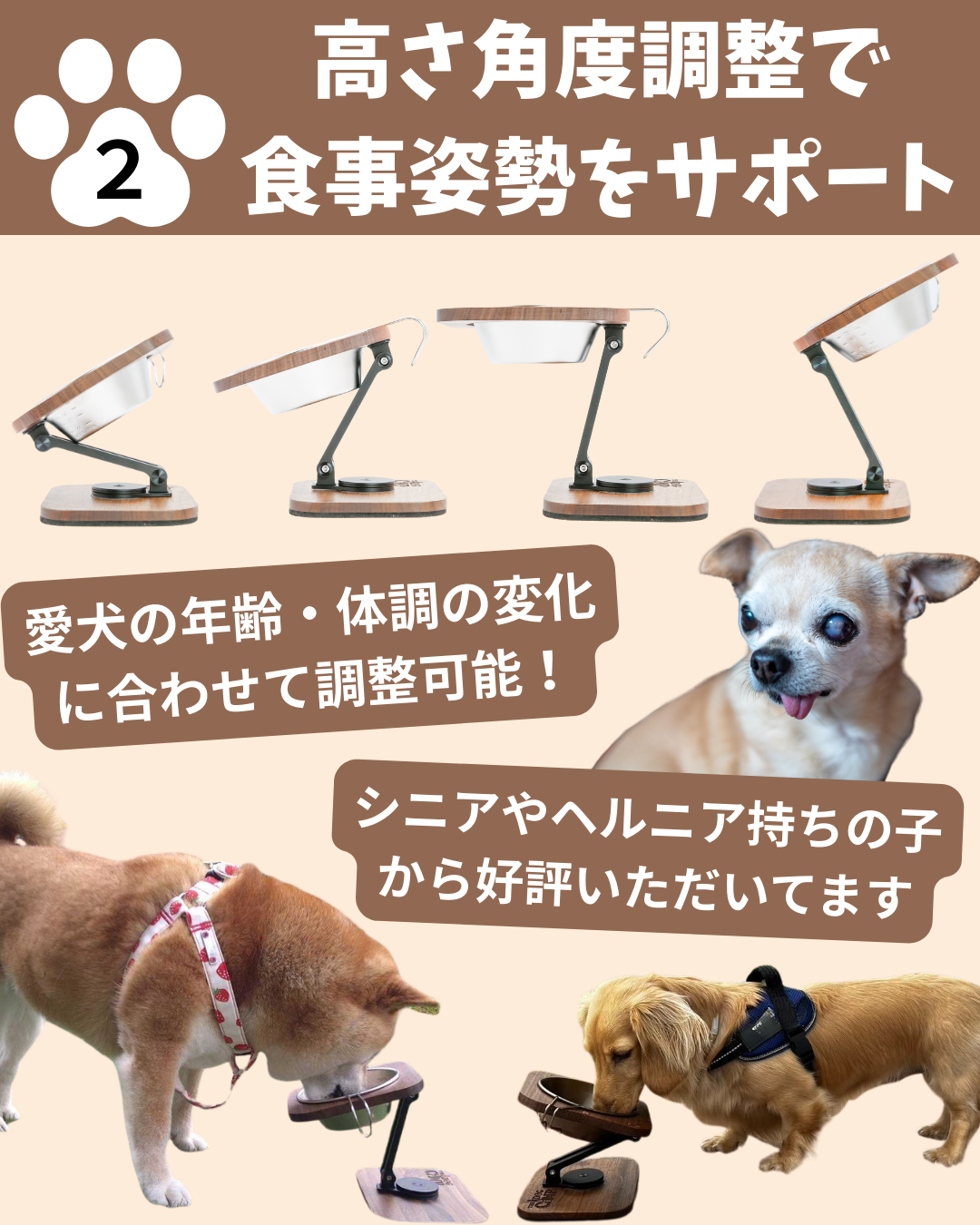 折りたたみフードスタンド(ミニサイズ) 予約セール中(11月末ごろお届け) 折りたたみフードスタンド(ミニサイズ) 予約セール中(11月末ごろお届け)