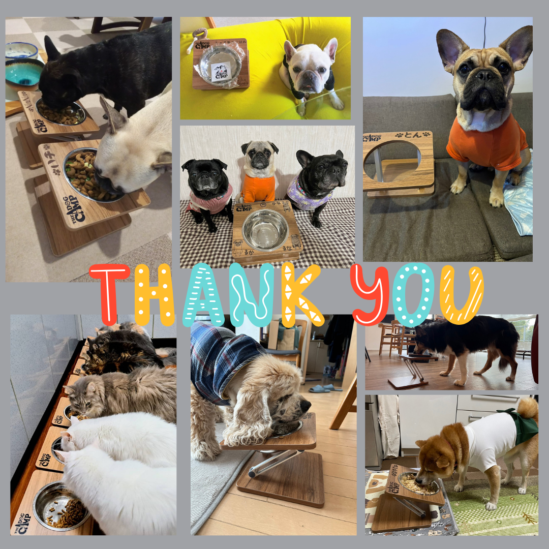 折りたたみフードスタンド(シングルver)