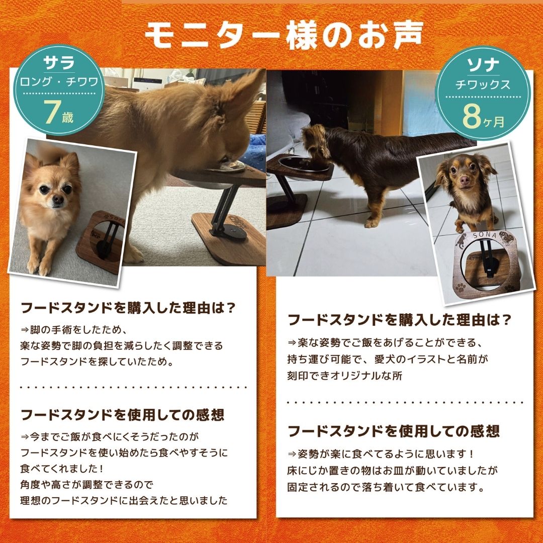 予約注文】（2月お届け予定）折りたたみフードスタンド（ミニサイズ) – THE DOG CAMP