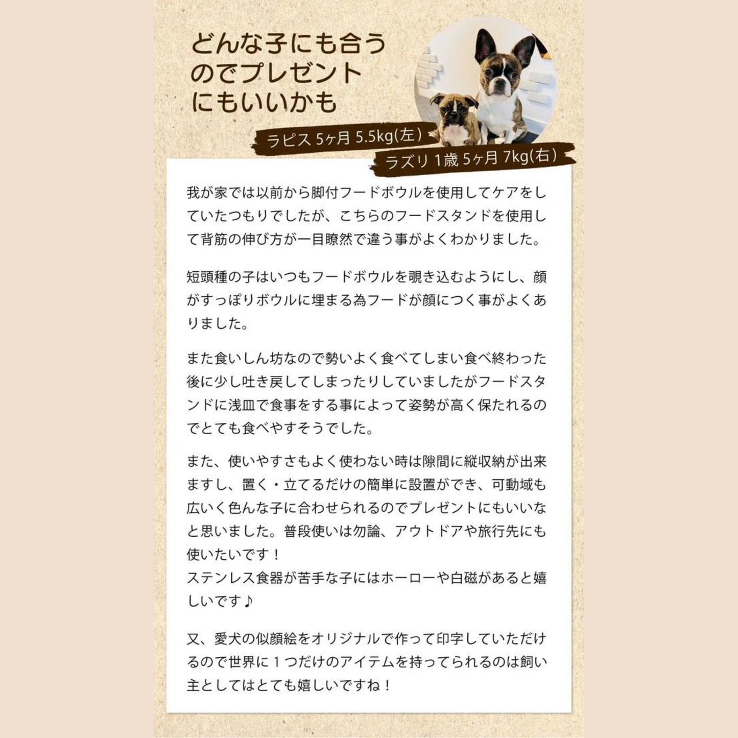 折りたたみフードスタンド(シングルver)